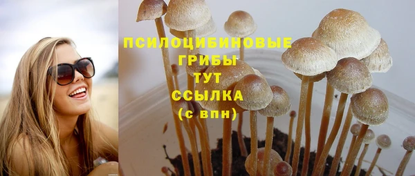 крисы Ахтубинск