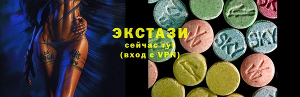 СК Вязьма
