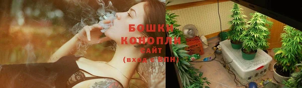 круглые Вяземский