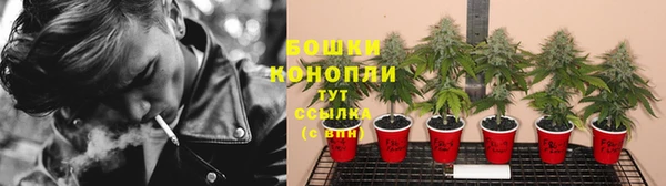 apvp Волосово