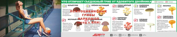 apvp Волосово