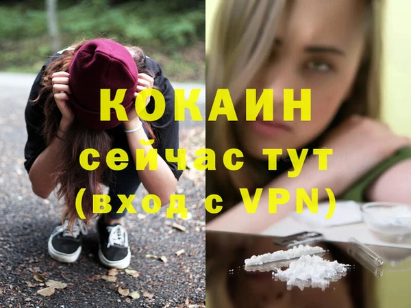 мяу мяу мука Волоколамск