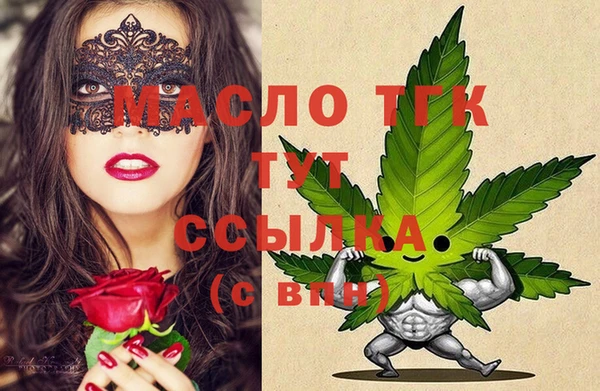 СК Вязьма