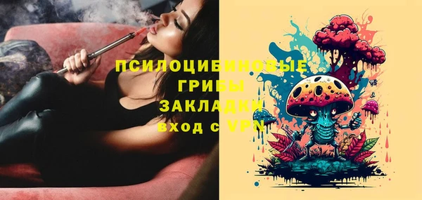мяу мяу мука Волоколамск