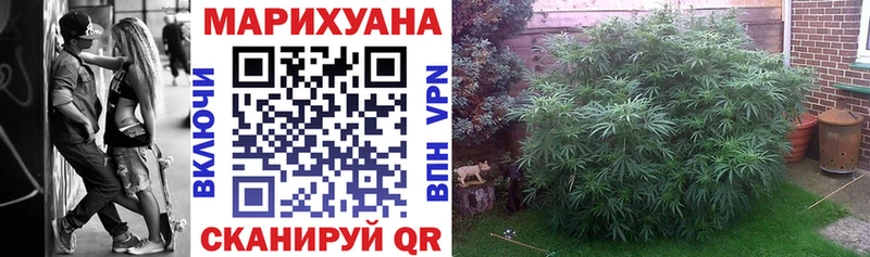 цена наркотик  Камбарка  Каннабис планчик 